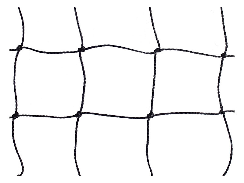 800x600 Starling 'stock' Bird Nets Barrettine Environmental Health