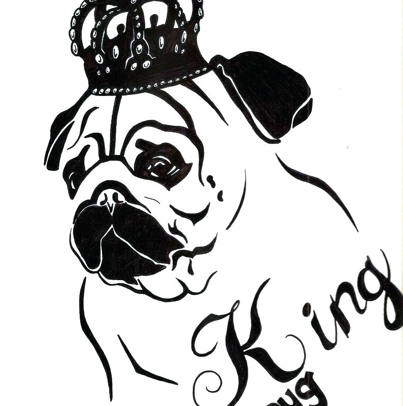 794x800 pug coloring pages for inspirational pug coloring
