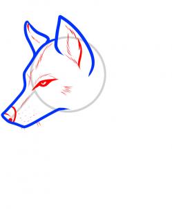 249x302 Draw A Wolf Tattoo, Wolf Tattoo, Step
