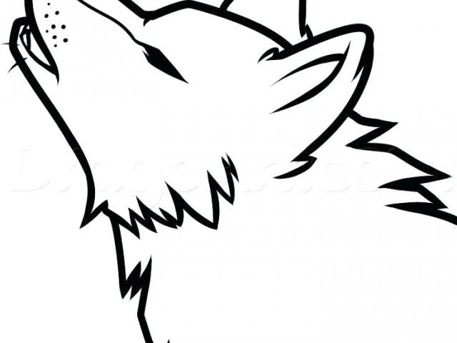 640x480 Free Drawn Wolf, Download Free Clip Art