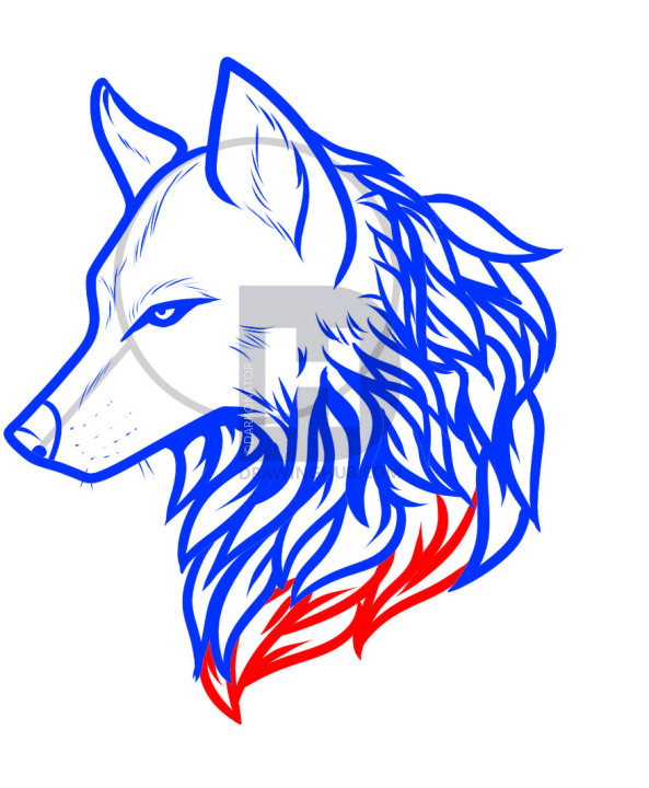593x720 How To Draw A Wolf Tattoo, Wolf Tattoo, Step