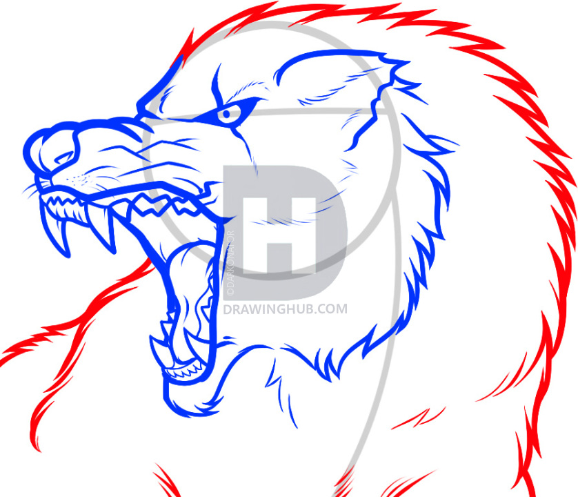 838x720 How To Draw An Angry Wolf, Angry Wolf, Step