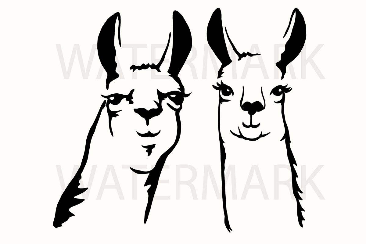 1200x800 Llama Couple Smiling