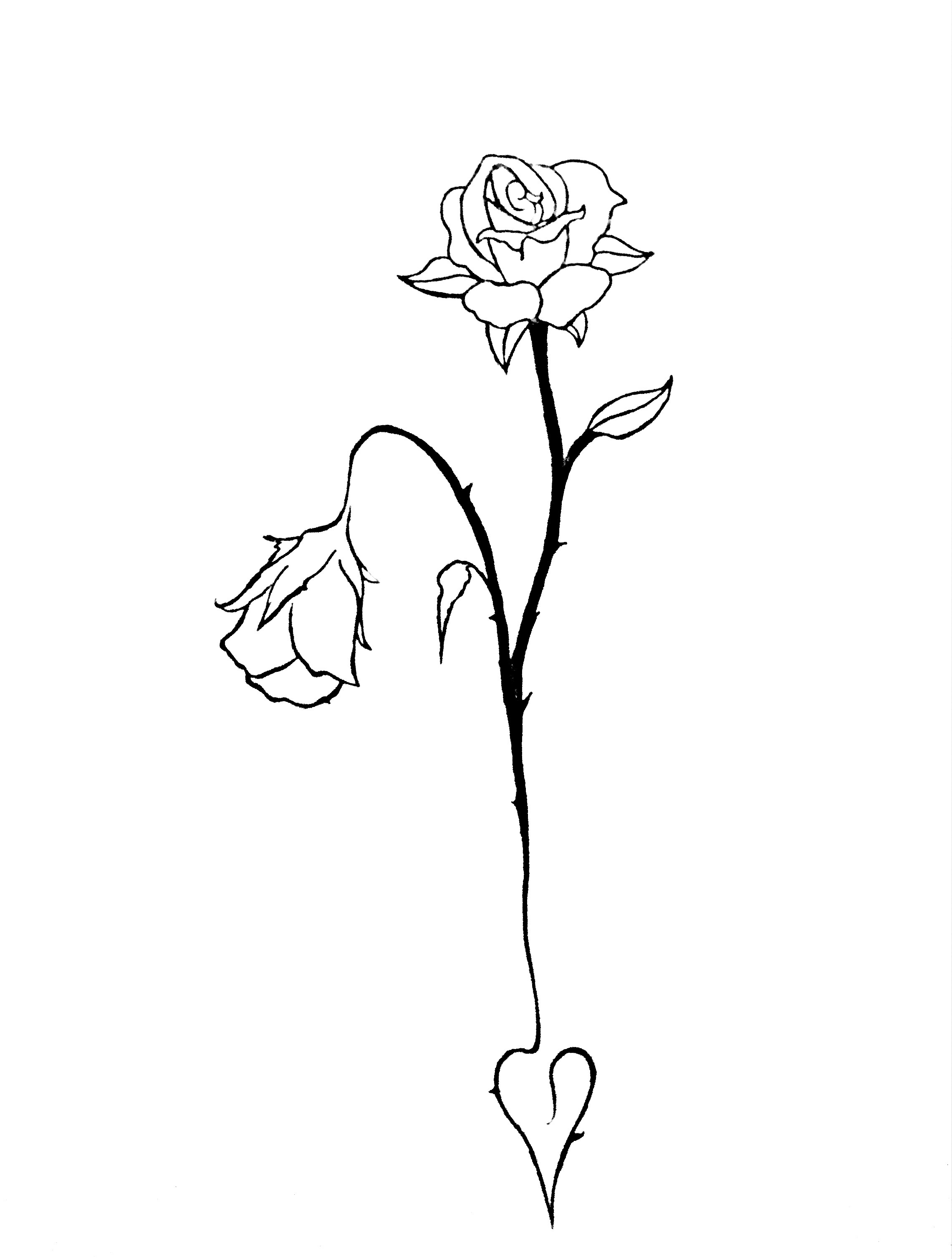 2281x3017 orgasm equality is a long time coming the mcgill tribune