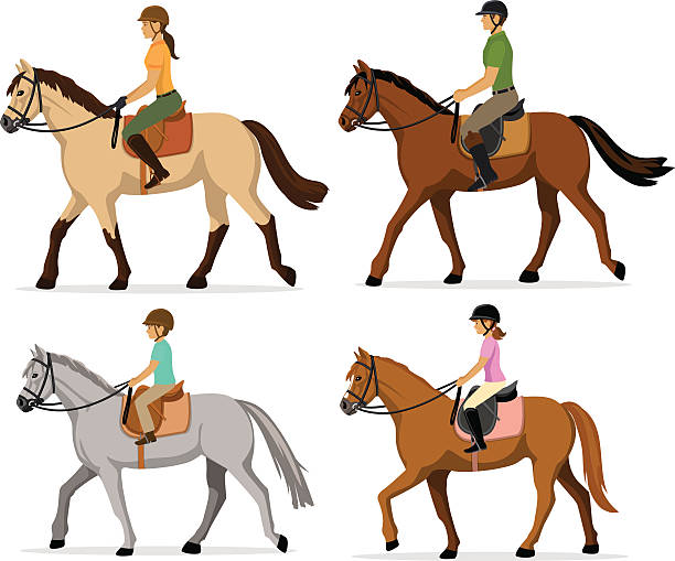 612x509 Clipart Horse Equestrian Fun Pics Images