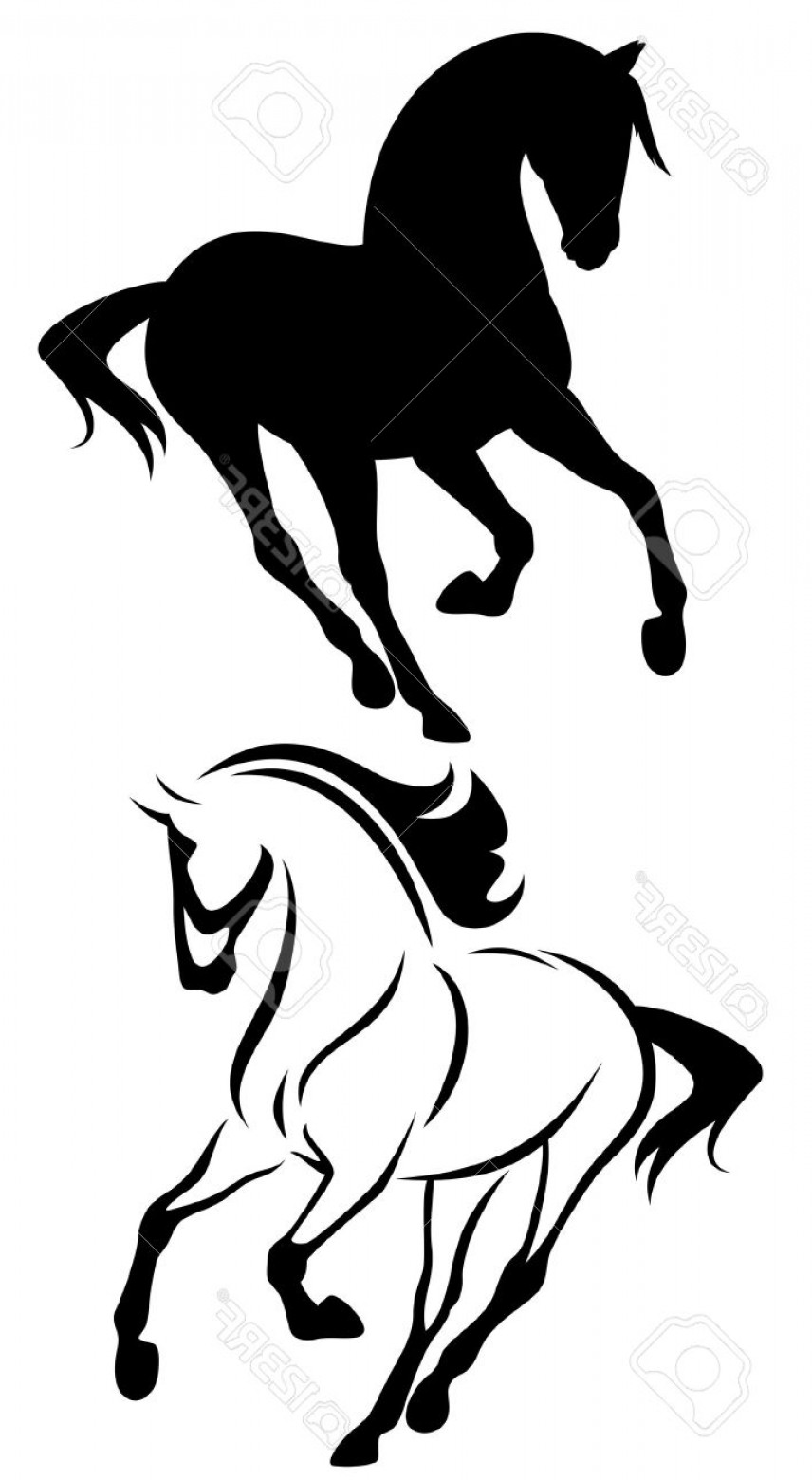856x1560 Photobeautiful Running Horse Vector Outline And Silhouette Black