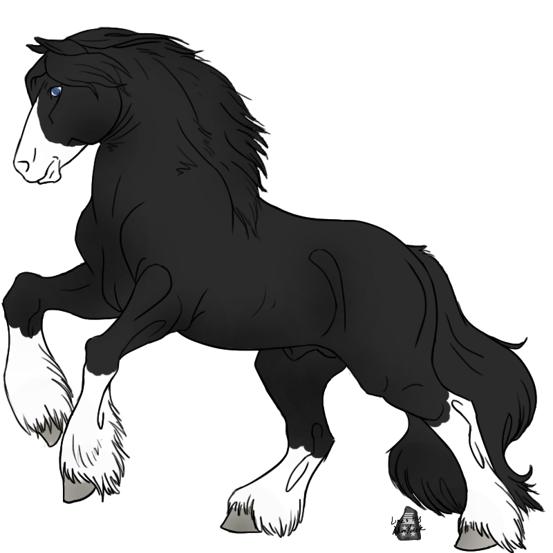800x800 Stallion Drawing Gypsy Vanner Horse Huge Freebie! Download