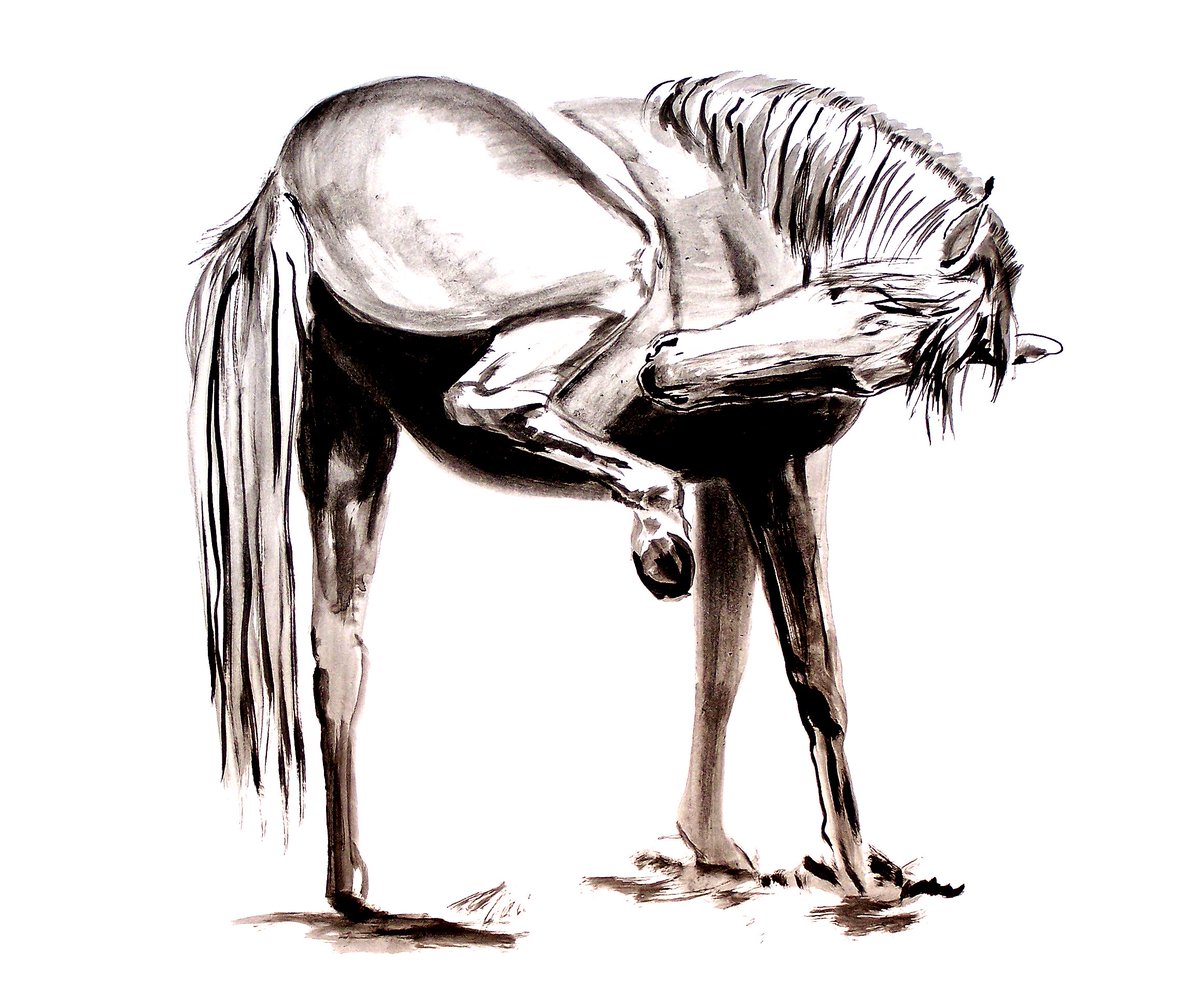 1200x985 Steve Messenger On Twitter Belly Itch