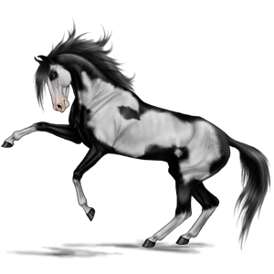 300x300 Stallion Drawing Paint Horse Huge Freebie! Download