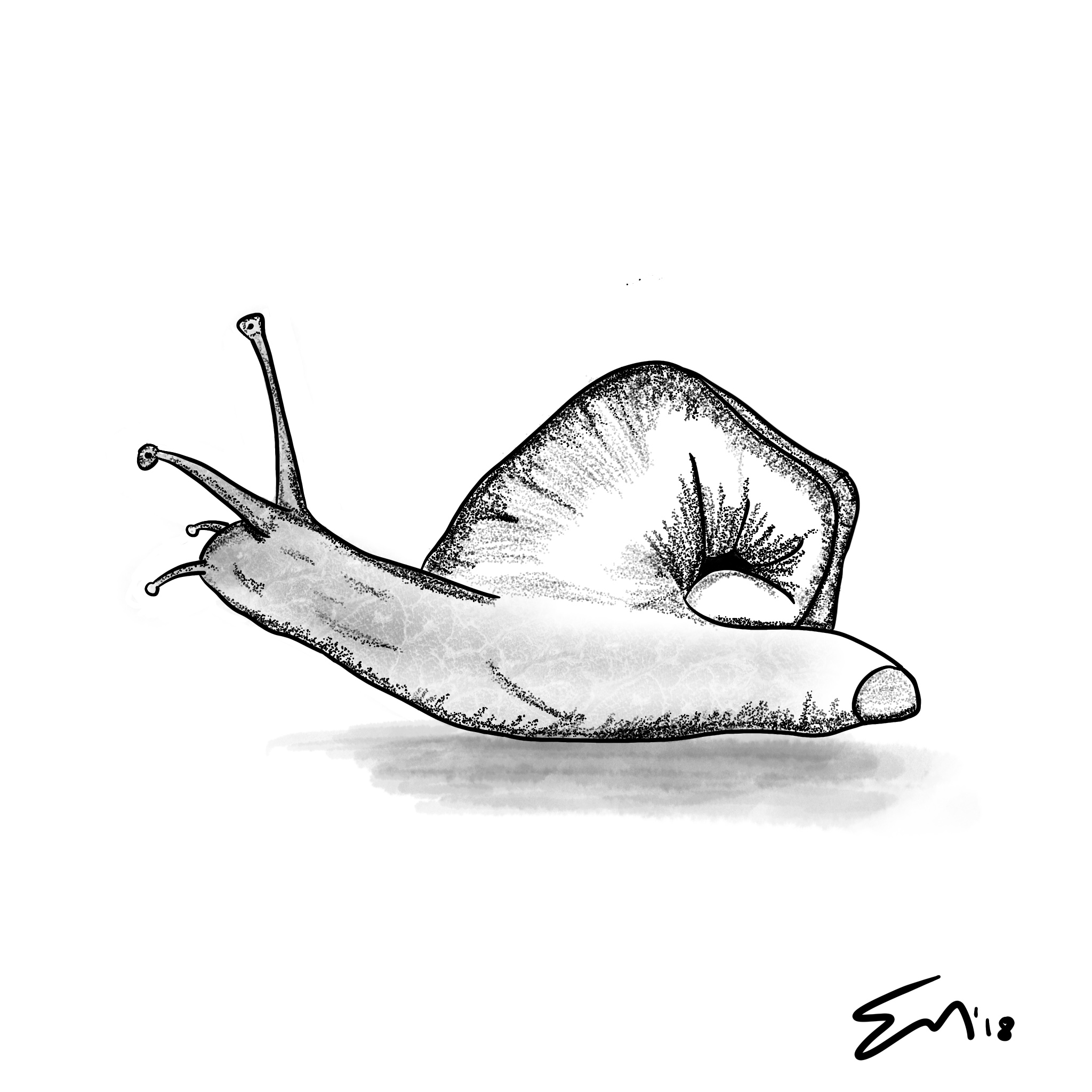 2048x2048 Slowhand Steemit