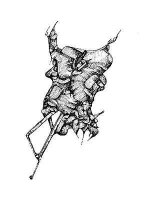 300x400 Cellphone Original Pen And Ink Sketch Paper Art Drawing No