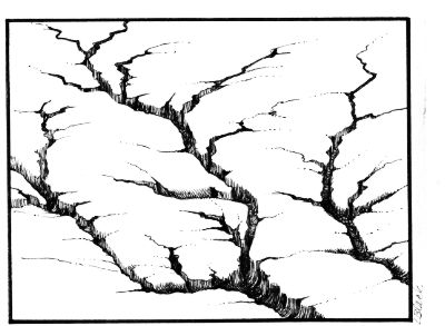 400x293 Re Greening The Earth