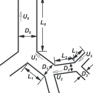 320x320 schematic of the mucociliary escalator download scientific diagram