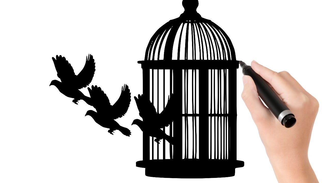1280x720 drawing birds silhouettes that escape from a cage in search