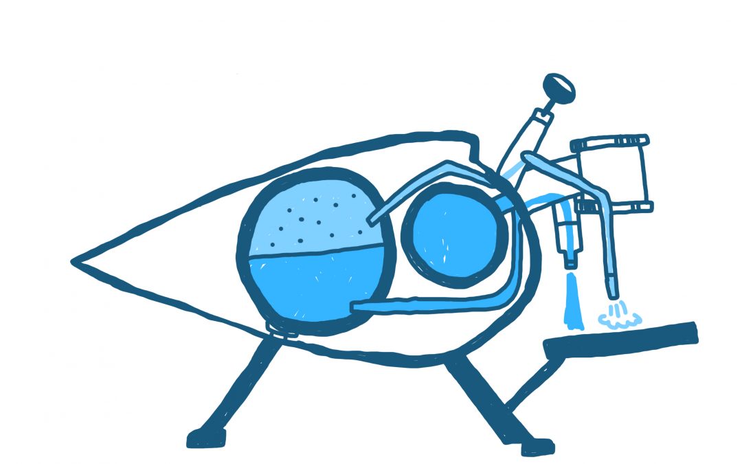 1080x675 is it more environmentally friendly to switch my espresso machine