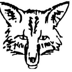 250x250 Fox Realty Group Gmac Real Estate