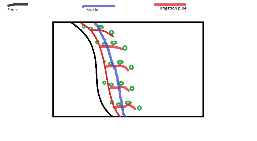 839x460 irrigating an orchard questions