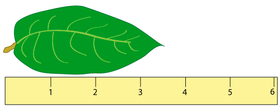 562x216 life sciences cyberbridge
