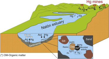 371x200 occurrence and speciation of arsenic and mercury in estuarine
