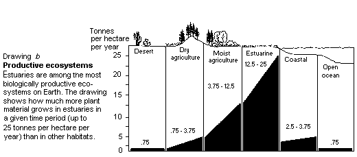 520x229 Oceanography