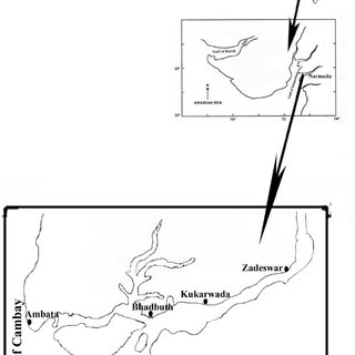 320x320 Study Area In Narmada Estuary Download Scientific Diagram