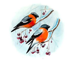 300x250 Images About Drawings On We Heart It See More About Drawing