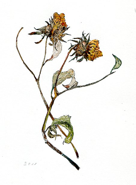 453x614 Etsy Lizzie Abelson