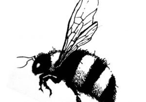 300x210 bumble bee drawing simple bumble bee drawing bee fabric etsy