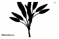 209x136 Cuboid Shape Silhouette Drawing Silhouette Pics