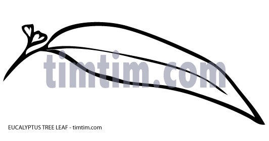 532x280 free drawing of leaf eucalyptus tree bw from the category climate