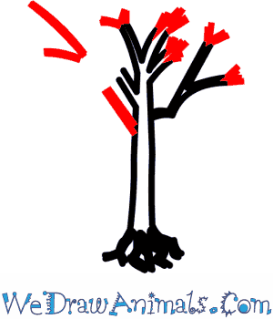 300x350 how to draw an eucalyptus tree