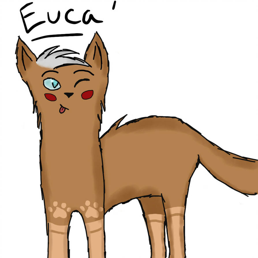 894x894 my drawing for eucalyptus splash