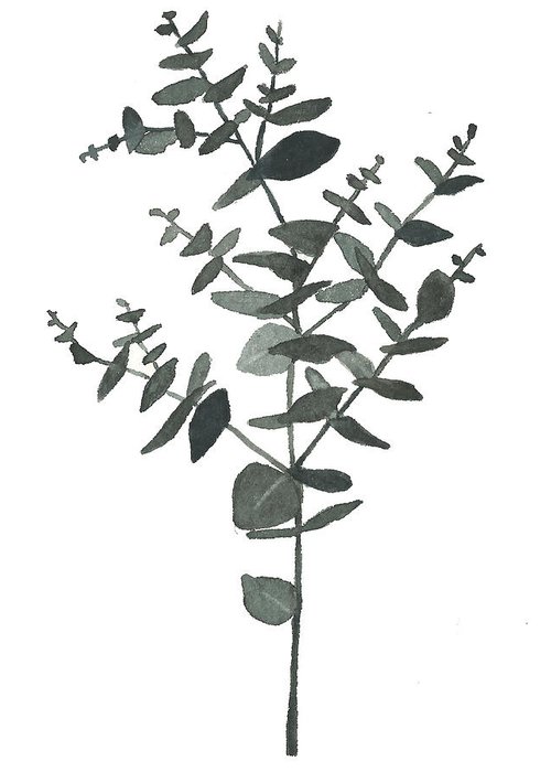 500x700 round leaf eucalyptus greeting card for sale