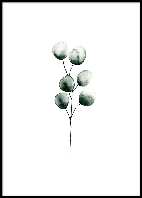 540x750 stylish posters botanical posters with black and white