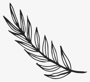 300x275 Watercolor Silver Leaf Eucalyptus Branch Png Free