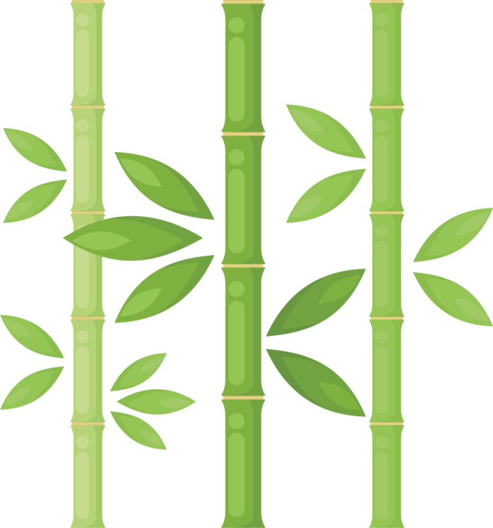 700x750 Bamboo Plants Drawing Tree Plant Stem Cc0