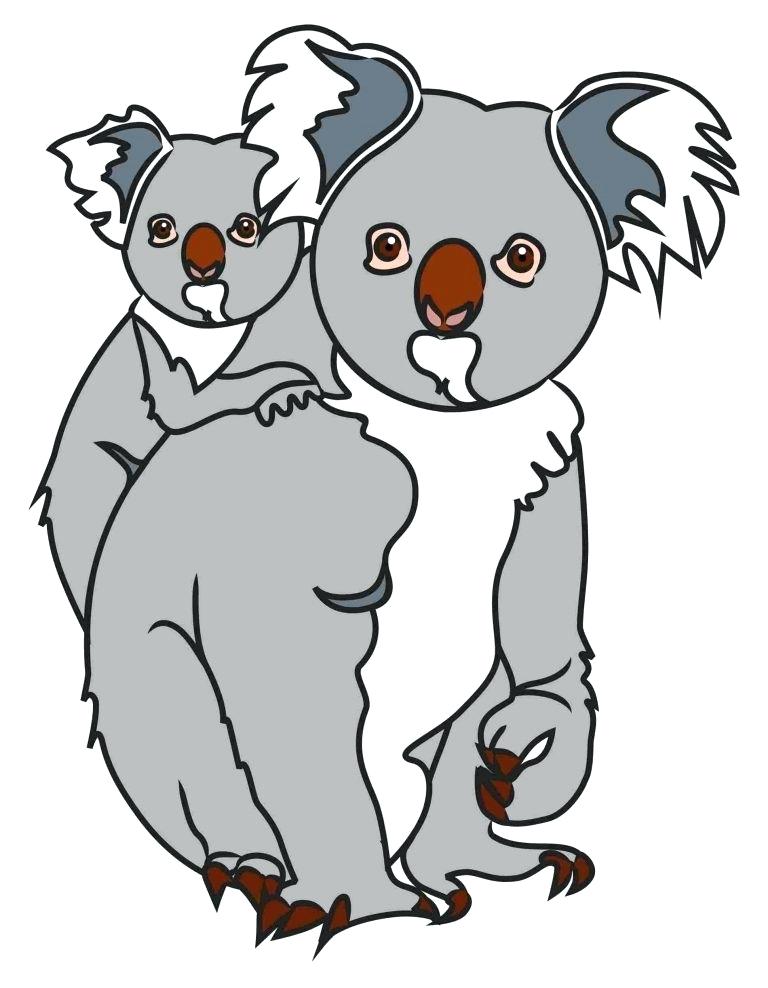 768x988 Draw A Koala Bear Koala