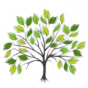 300x300 Hand Draw Abstract Green Tree Vector Sohadacouri