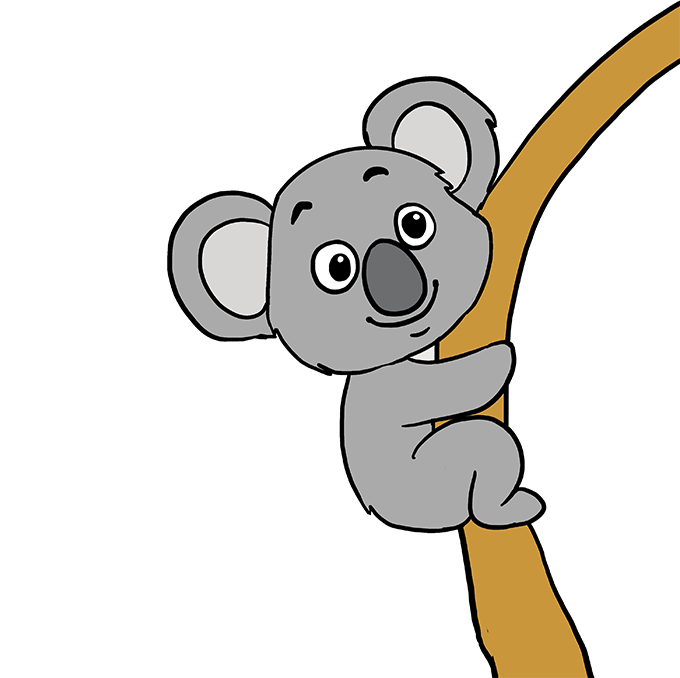 680x678 How To Draw A Koala