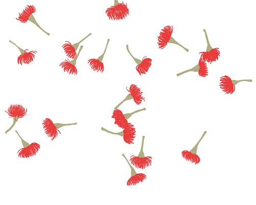 500x400 Red Flowering Gum Tree Drawing Daily Fine Art Prints, Flower