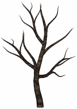 250x352 Twin Drawing Tree, Picture