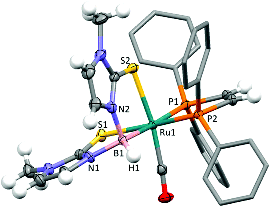 878x676 Methimazolyl Based Diptych Bicyclo