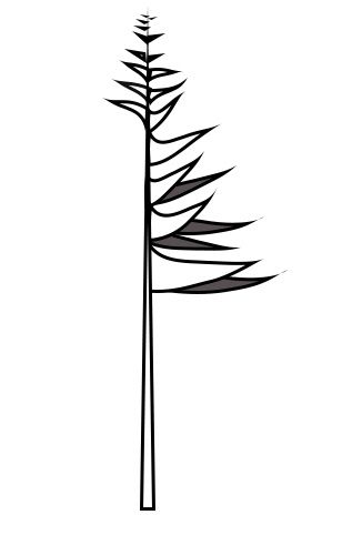 308x482 How To Draw And Paint Evergreen Trees Painted Trees Pencil