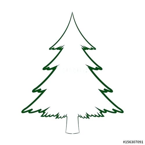 500x500 Pine Tree Drawing Download