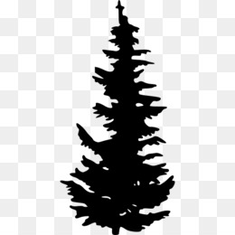 260x260 Bushes Clipart Evergreen Frames Illustrations Hd Images