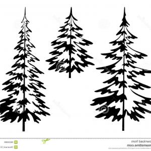 300x300 evergreen conifer pine tree flat stylized line art vector icon