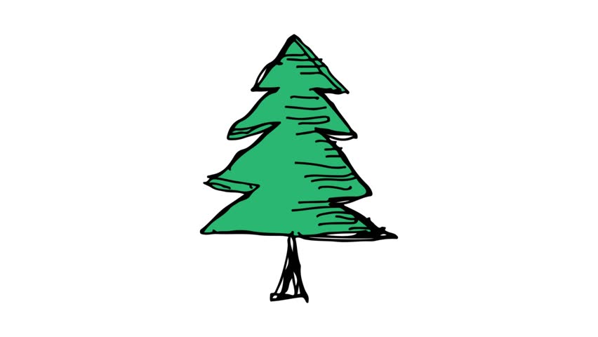 852x480 Evergreen Sketch Stock Video Footage