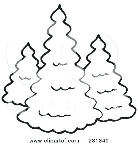 450x470 Evergreen Tree Outline Simple Pine Tree Drawing At Free