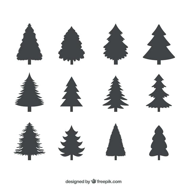 Evergreen Tree Drawing | Free download on ClipArtMag