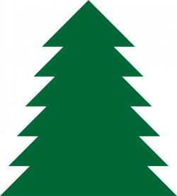250x276 Pine Drawing Evergreen Tree, Picture